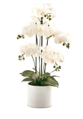 Pianta Artificiale Orchidea 5 Phalaenopsis - EDG