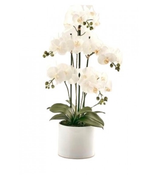Pianta Artificiale Orchidea 5 Phalaenopsis - EDG