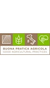 Pasta Linguine 1 kg - Mancini Pastificio Agricolo