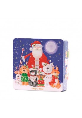 Biscotti Latta Natalizia Babbo Natale Gatti e Cani 250g - Farmhouse Biscuits