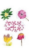 Canovaccio in Lino Premium stampa Flora Rosa Var.1- The Napking