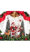 Lanterna Ghirlanda Babbo Natale Water Spinning H22 - Timstor