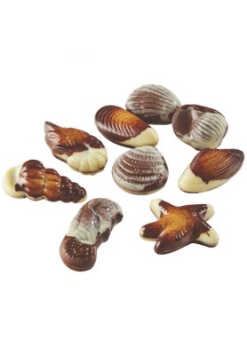 Confezione Frutti di Mare Artigianali di Cioccolato - Linea Unica Cioccolateria 1923