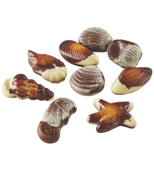 Confezione Frutti di Mare Artigianali di Cioccolato - Linea Unica Cioccolateria 1923